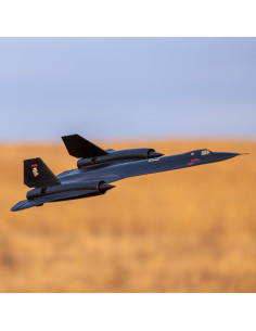 SR-71 Blackbird Twin 40mm...