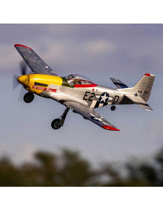 UMX P-51D Mustang “Detroit...