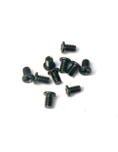 SG4613 Tornillos cabeza...