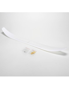 Main Wing: UMX Radian