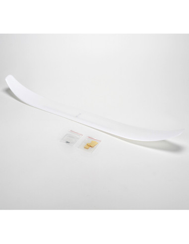 Main Wing: UMX Radian