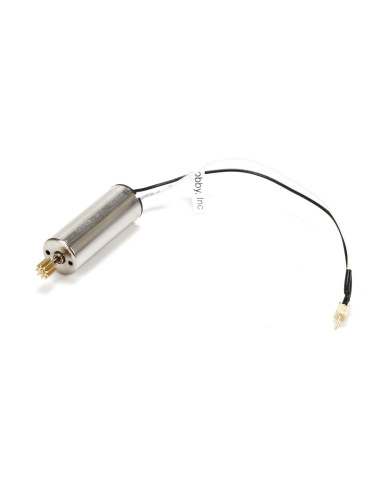Motor: UMX Radian