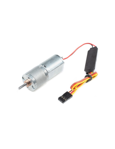 Motor and Gearbox: ASH 31 Retract