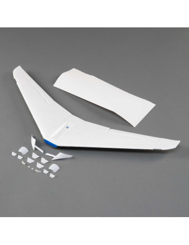 Painted Wing: Citation Longitude