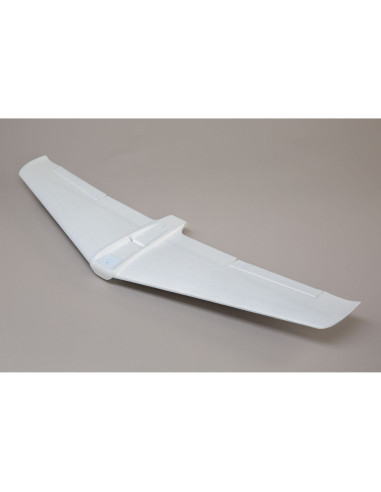 Painted Wing: V900  900mm
