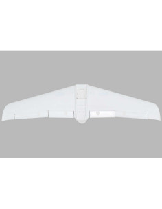 Painted Wing V1200