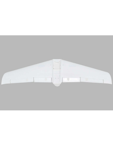 Painted Wing V1200
