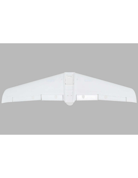 Painted Wing V1200