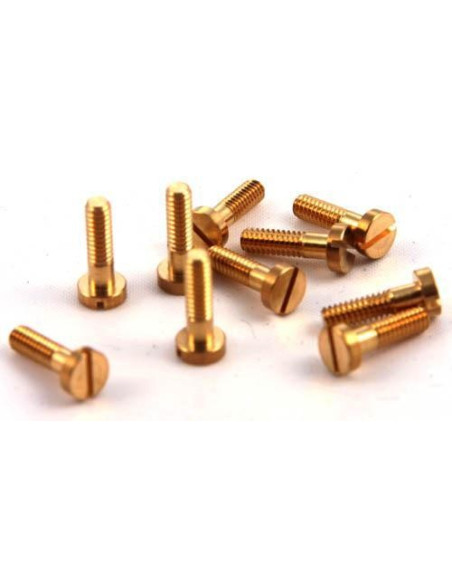 NSR4836  Metric Body Screw Partially Threaded (10)