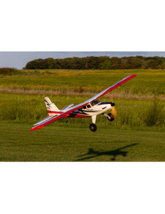 Turbo Timber SWS 2.0m ARF