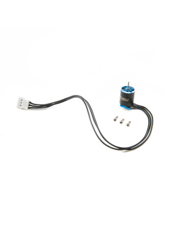 Brushless Outrunner  8800Kv