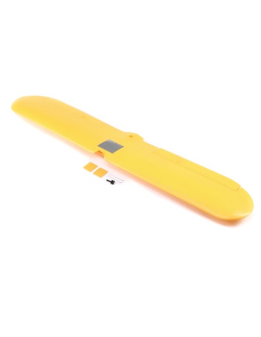 Painted Wing: 1.2 Clipped Cub