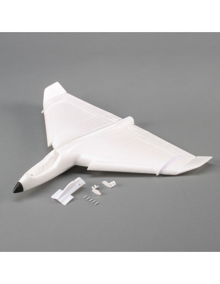 Replacement Airframe: Delta Ray One