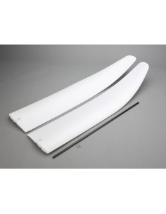 Wing with Spar: Radian BNF...