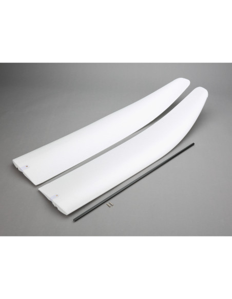 Wing with Spar: Radian BNF Basic