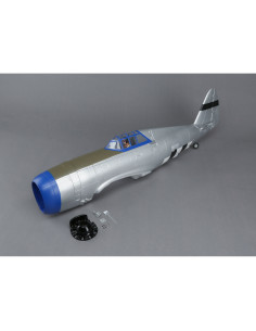 Painted Fuselage with...
