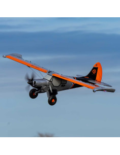 Micro Scrappy 800mm BNF...