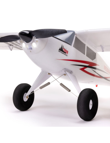 Timber 1.5m 10th Anniversary Special Edition...