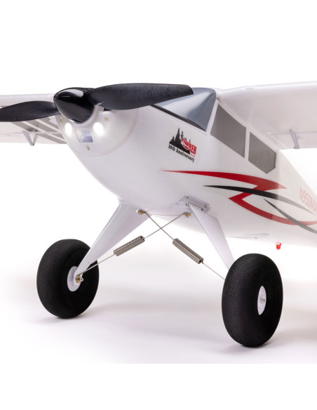 Timber 1.5m 10th Anniversary Special Edition PNP