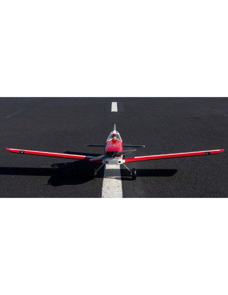 Pawnee Brave 20cc ARF  87"