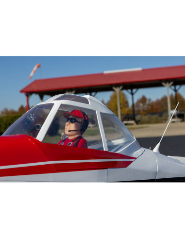 Pawnee Brave 20cc ARF  87"