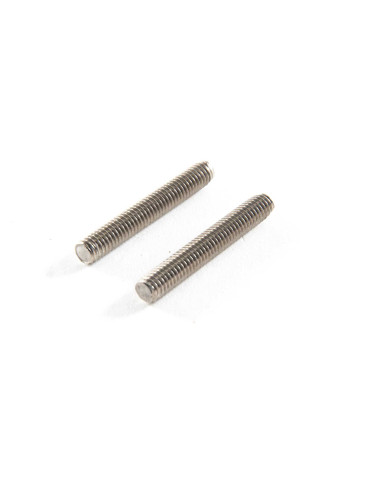 Wing Retainers (2): ASH 31 6.4m