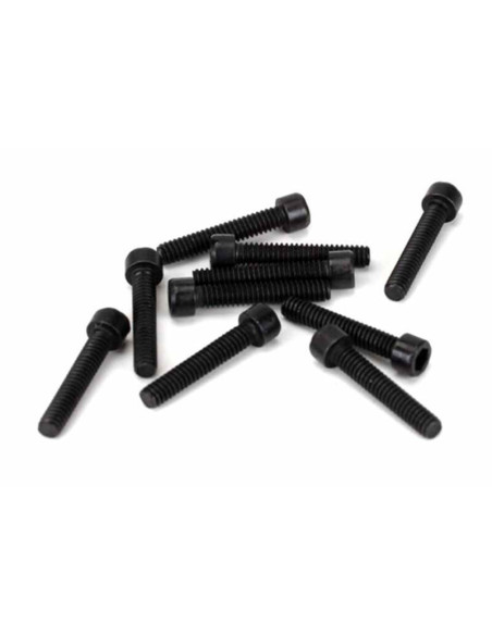 2-56 x 1-4 cap head screws (10)