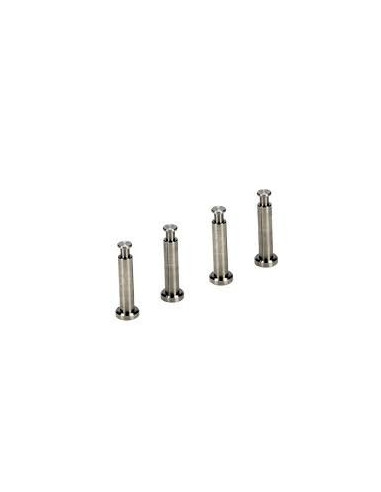 Titanium hing pins 4x21mm. 8b-8t (4)