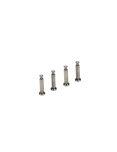 Titanium hing pins 4x21mm. 8b-8t (4)