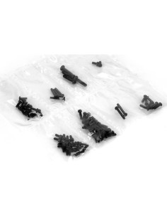 Screw set: micro sct  rally