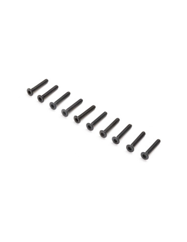 Flat Head Screws  M2x12mm (10)