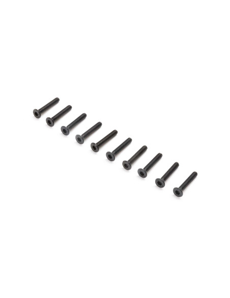 Flat Head Screws  M2x12mm (10)