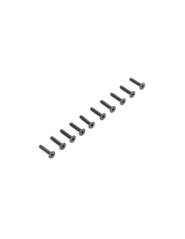 Flat Head Screws M2.5 x 12mm (10)