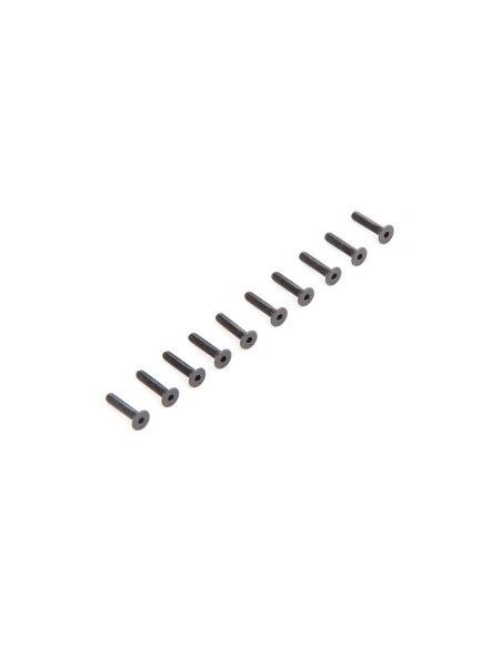 Flat Head Screws M2.5 x 12mm (10)
