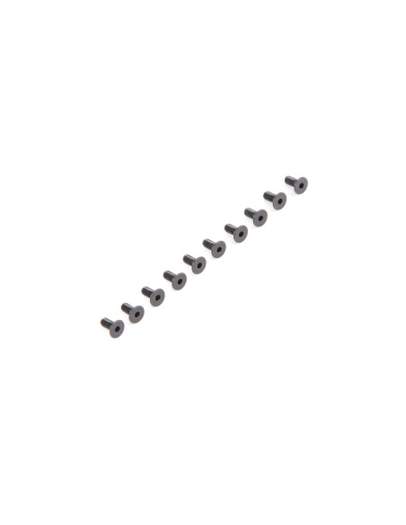 Flat Head Screws M2.5 x 5mm (10)