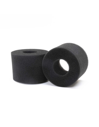 Foam Tire Insert (2): Mini LMT