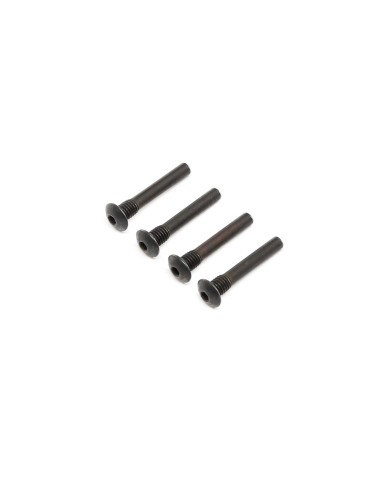 Hinge Pin Screw  Outer (4): Super Baja Rey