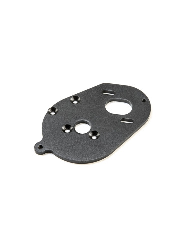 Motor Plate: 22S
