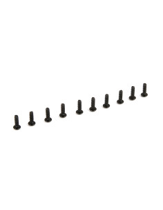 Screw  3x10mm (10):...
