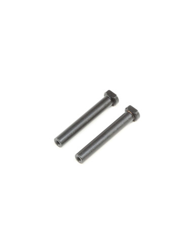 Steering Post Set (2): LST 3XL-E