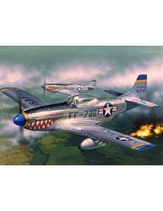 F-51D MUSTANG US FIGHTER...