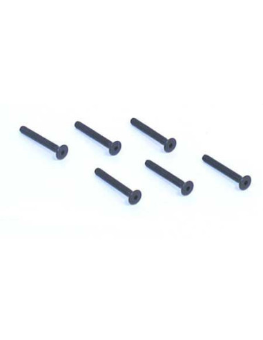 Flat Head Screws  4-40 x 7-8" (6)