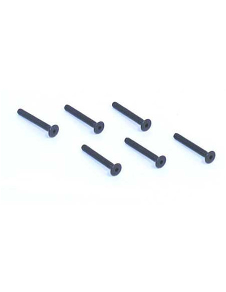 Flat Head Screws  4-40 x 7-8" (6)