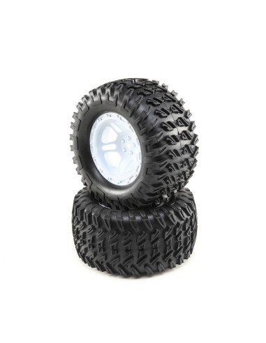 Wheels and Tires Mounted (2): TENACITY MT