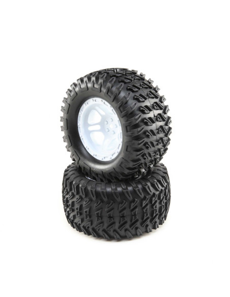 Wheels and Tires Mounted (2): TENACITY MT