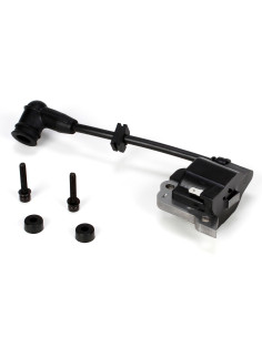 Ignition Coil & Screws...