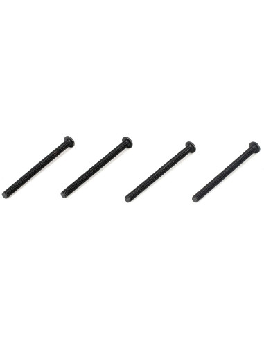 Button Head Screws  M3 x 40mm (4)