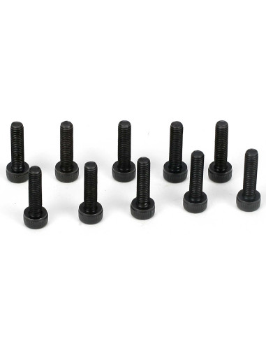 Cap Head Screws  M3 x 12mm (10)
