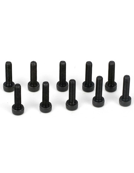 Cap Head Screws  M3 x 12mm (10)