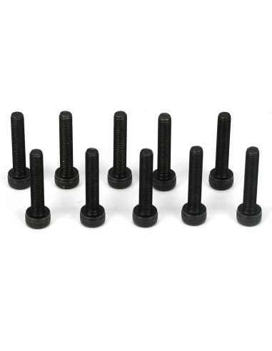Cap Head Screws  M3 x 16mm (10)